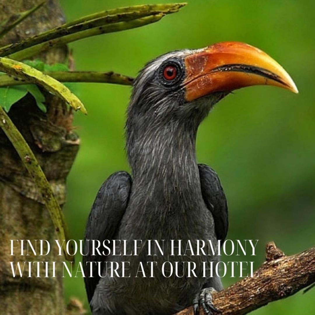Hotel Bird Paradise Sigiriya Dış mekan fotoğraf